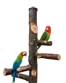 Pet Parrot Bird Standing Stick Wood Pole Bird Cockatiel Parakeet Perches Bite Claw Grinding Toy Bird Cage Accessories