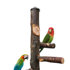 Pet Parrot Bird Standing Stick Wood Pole Bird Cockatiel Parakeet Perches Bite Claw Grinding Toy Bird Cage Accessories