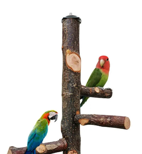 Pet Parrot Bird Standing Stick Wood Pole Bird Cockatiel Parakeet Perches Bite Claw Grinding Toy Bird Cage Accessories