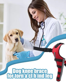 Dog Back Leg Braces Pet Orthopedic Joint Support Brace Portable Pet Knee Wound Protection for Small Animals Recovery