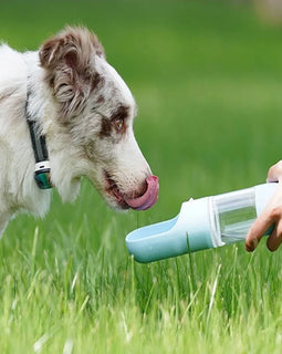 Dog outing water bottle bottle Portable pet outdoor accompanying water bottle Walking dog  supply pet supplies