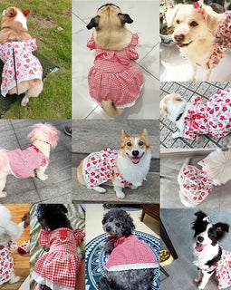 Summer Pet Dress Floral Pattern Plaid Skirts Cat Princess Dresses Chihuahua Yorkie Sweet Skirts Puppy Dog Costume Pet Supplies