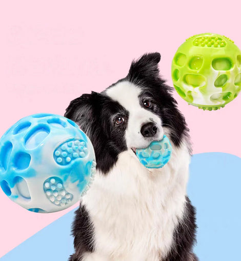 Pet dog toys are sturdy and durable, can alleviate teething discomfort, and are suitable for use during outdoor training.