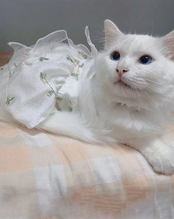 Pet Traction Skirt Lace Cat Dress Princess Dresses Outfit Puppy Clothes Pets Dog Clothing for Wedding Birthday Party Cat Apparel