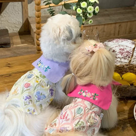 Pet Clothing Small Dog Dress Autumn Iris Skirt Outdoor Clothing Fragrant Flower Puff Skirt Dog Dresses for Small Dog Clothes