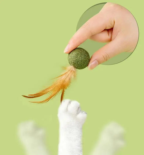 Cat Toys Catnip Kitten Catnip Feather Ball Interactive Natural Lollipop Natural Cat Kicker Feathers Design Cat Teeth Cleaning