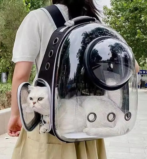 Pet Cat Carrying Bag Space Pet Backpacks Breathable Portable Transparent Backpack Puppy Dog Transport Carrier Space Capsule Bags