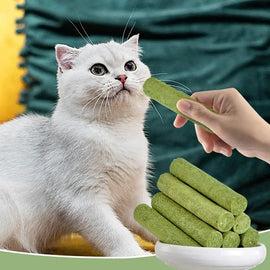 5Pcs Cat Grass Sticks Pet Edible Snacks Teeth Grinding Stick Cat Mild Cleaning Teething Sticks Hairball Removal Teeth Cleaning