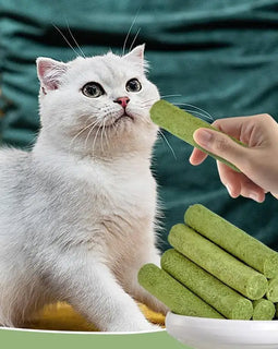 5Pcs Cat Grass Sticks Pet Edible Snacks Teeth Grinding Stick Cat Mild Cleaning Teething Sticks Hairball Removal Teeth Cleaning