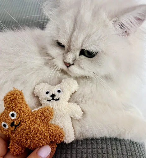 Pet Cat Mint Doll Plush Dog Toy Teddy Toy Pomerian Dog Accessories Dog Toys for Small Dogs Puppy Toys