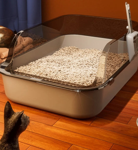 Cat Litter Box Large Capacity Semi-closed Removable Splashproof Cats Toilet with Cat Litter Scoop Pet Clean Supplies Litter Box