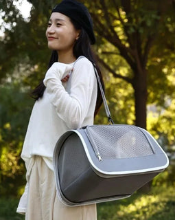 Pet Outing Portable Cat Dogs Handbag Summer Breathable Carrier Travel Puppy Kitten Single Shoulder Bag Pet Carrying Bag Supplie