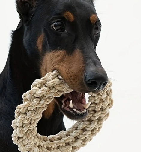 Pet Dog Rope Toy Durable Chew Bite Resistant Pet Toys for Medium Large Dogs Golden Retriever Pitbull Labrador Supplies