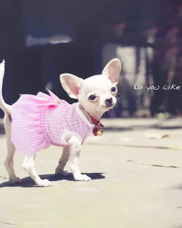 Dog Dresses for Small Dogs Cats Puppy Clothes Summer Princess Pet Dresses Girl Female Doggies Tutu Skirt Apparel for Chihuahua