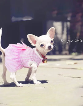 Dog Dresses for Small Dogs Cats Puppy Clothes Summer Princess Pet Dresses Girl Female Doggies Tutu Skirt Apparel for Chihuahua