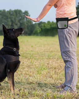 Dog Treat Pouch Magnetic Closure Puppy Training Waist Bag Puppies Goodie Treat Pouch With Waist Belt For Behavior Aids
