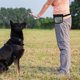 Dog Treat Pouch Magnetic Closure Puppy Training Waist Bag Puppies Goodie Treat Pouch With Waist Belt For Behavior Aids