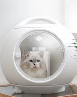 Pet Smart Drying Box Household Fully Automatic Cat Dryer Silent Small Dog Hair Dryer Pet Dry Room Hair Dryer for Cats and Dogs