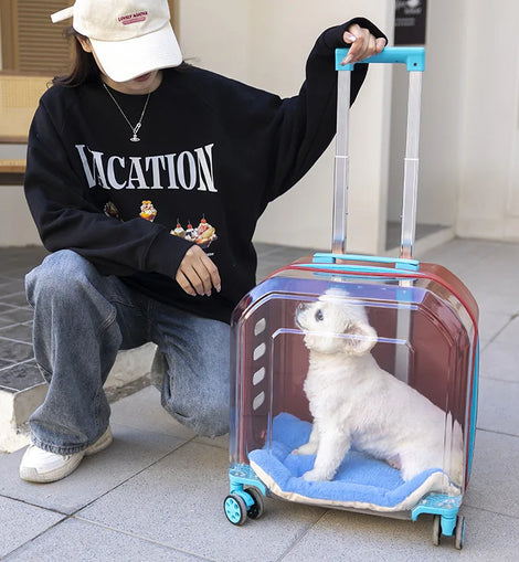 Pet Cat Carrier Out Trolley Case Portable Large Capacity Dog Bag Transparent Breathable Cat Backpack Transporter Pet Supplies
