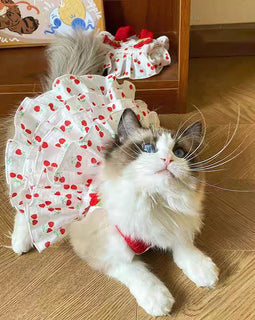 Pet Dress for Dogs & Cats - Layered Cake Style Printed Clothes, Small Medium Breed Apparel, Adorable Summer Outfit