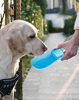 Dog Water Bottle Dispenser Large Dog Water Dispenser Foldable Puppy Travel Water Bowl Portable Pet Water Bottle Stainless Steel