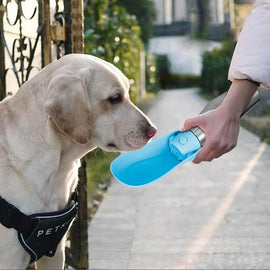 Dog Water Bottle Dispenser Large Dog Water Dispenser Foldable Puppy Travel Water Bowl Portable Pet Water Bottle Stainless Steel