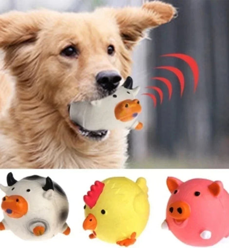Pet dog vocal toy