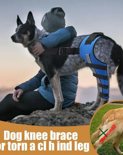Dog Back Leg Braces Pet Orthopedic Joint Support Brace Portable Pet Knee Wound Protection for Small Animals Recovery