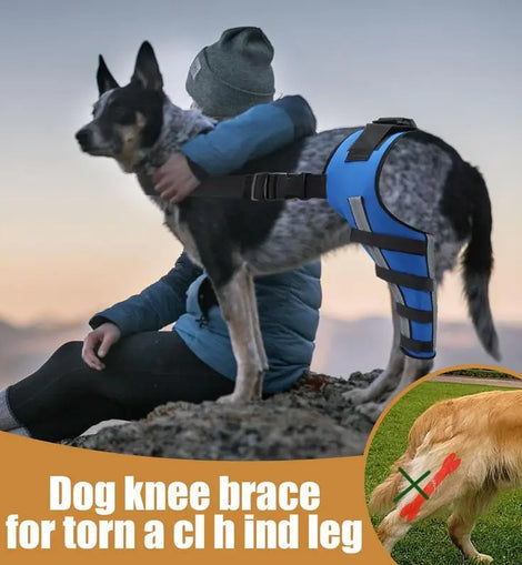Dog Back Leg Braces Pet Orthopedic Joint Support Brace Portable Pet Knee Wound Protection for Small Animals Recovery