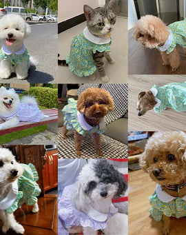 Dog Dress Summer Floral Pet Skirts Cat Sweet Dresses Chihuahua Yorkie Clothing Soft Breathable Puppy Costume Girls Dog Clothes