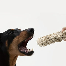 Pet Dog Rope Toy Durable Chew Bite Resistant Pet Toys for Medium Large Dogs Golden Retriever Pitbull Labrador Supplies