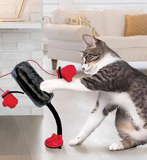 Portable Cat Punching Bag Toy Interactive Indoor Cats Kitten Toy With Gloves Cat Toy For Kitten Pet Cat Supplies