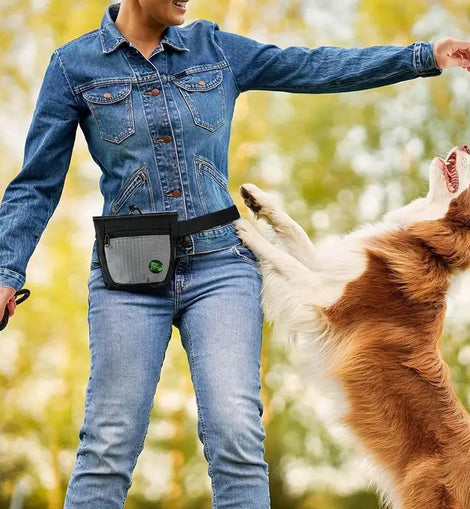 Dog Treat Pouch Magnetic Closure Puppy Training Waist Bag Puppies Goodie Treat Pouch With Waist Belt For Behavior Aids