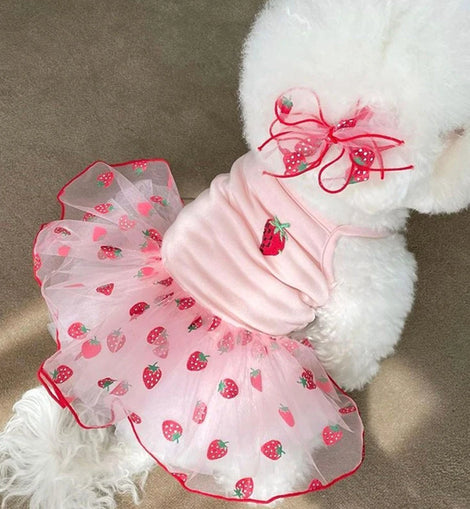 Cute Pet Dog Dress for Small Dogs Thin Puppy Princess Skirt Dog Clothes Chihuahua York Clothing Pet Supplies