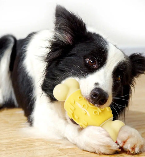 Pet Supplies Bite-resistant Dog Chew Toy Wear-resistant Interactive Pet Sound Making Toy TPR Pet Training Toy Relieve Boredom