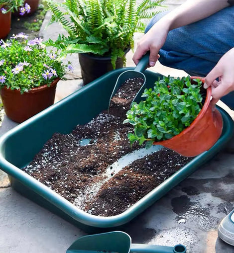 Versatile garden nursery planters, litter boxes, pet litter boxes, gardening supplies for indoor and outdoor gardens