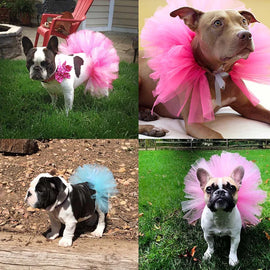 Pet Puppy Small Dog Lace Skirt Princess Tutu Dress Clothes Apparel Costume Cute Pet Shop Tudo Para Caes Puppy Clothes Dog Dress