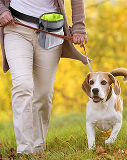 Pet Dog Snack Bag Treat Food Obedience Outdoor Pouch Bag Large Capacity Convenient Practical Fashion Dogs Training Pack