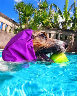 Dog Ear Protection Bathing Cap Pet Ear Protection Bath Wrap Hat Polyester Material Dog Shower Cap For Swimming Daily Bathing And