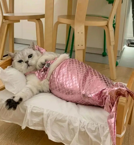 Cat Mermaid Costume Mermaid Tail Clothes Sequin Mermaid Dress Cat Dog Outfit Soft Funny Pet Costumes Fishtail Clothes Unique Sea