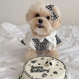 Pet Dress for Dog Small Dogs Summer Pet Plaid Dog Suspender Skirt Cute Cat Princess Dress Luxury Pet Shirt Chihuahua Dog Clothes