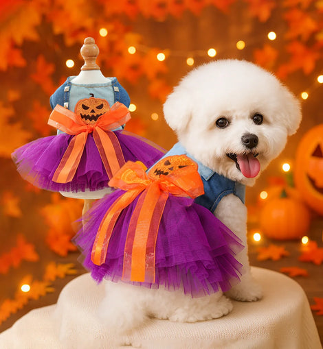 Halloween Pet Clothes Funny Dress Up Princess Dress Dog Cat Clothes Casual Clothing Ancient Quirky Pumpkin Skirts Autumn Winter