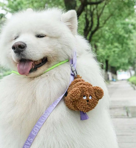1pcs Pet Poop Bag Dispenser Portable Waste Bag Dispenser Carrier Dog Clean Bag Holder Storage Box Bag Accessories
